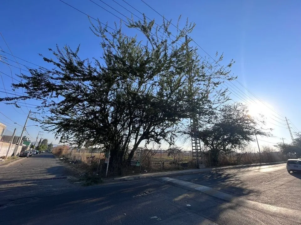 Foto 3 de TERRENO EN VENTA TONALA EN PROLONGACIÓN GIGANTES
