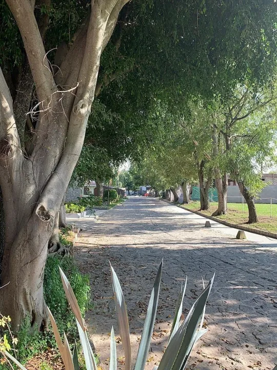 Terreno en Venta en Valle Real, Club Ecuestre Zapopan, Jalisco.