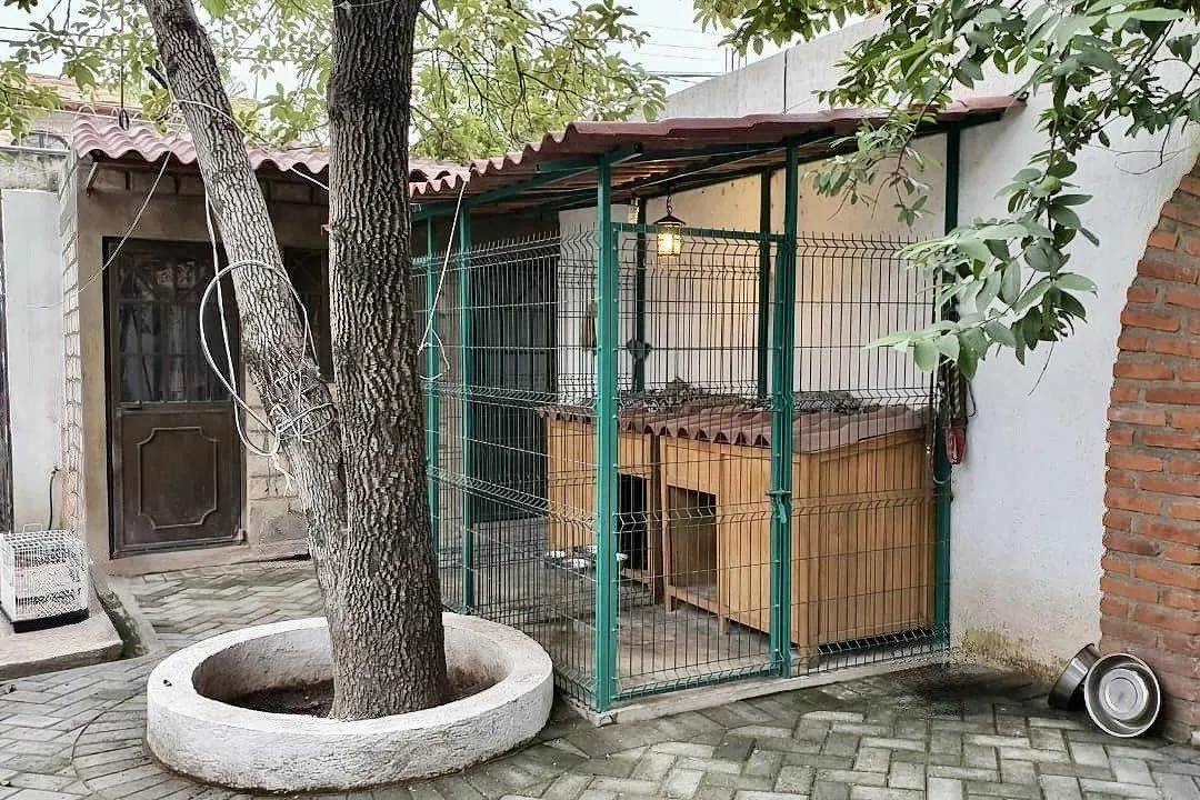 Foto 7 de Propiedad comercial de 15 × 22 metros, ideal para múltiples giros de negocio