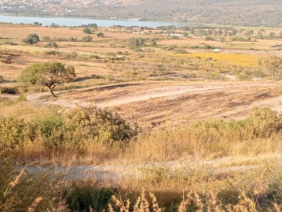 Foto 2 de Terreno en venta en Potrero , El bajo, Tlajomulco de Zúñiga