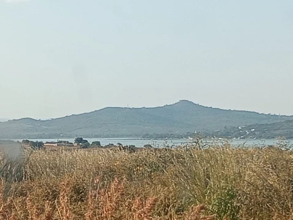 Foto 3 de Terreno en venta en Potrero , El bajo, Tlajomulco de Zúñiga
