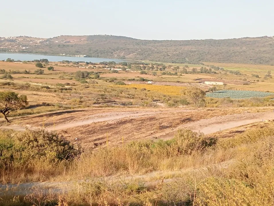 Foto 4 de Terreno en venta en Potrero , El bajo, Tlajomulco de Zúñiga
