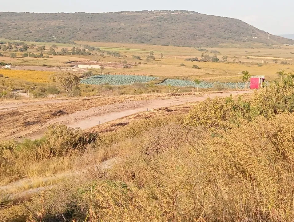 Foto 5 de Terreno en venta en Potrero , El bajo, Tlajomulco de Zúñiga