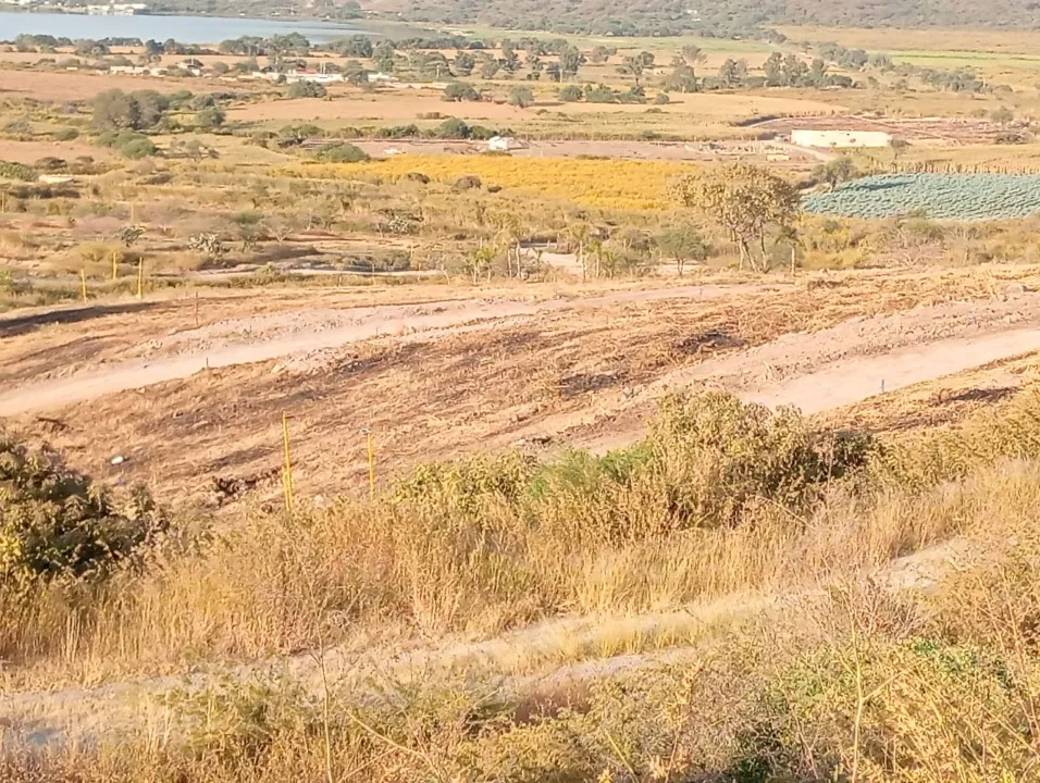 Foto 7 de Terreno en venta en Potrero , El bajo, Tlajomulco de Zúñiga