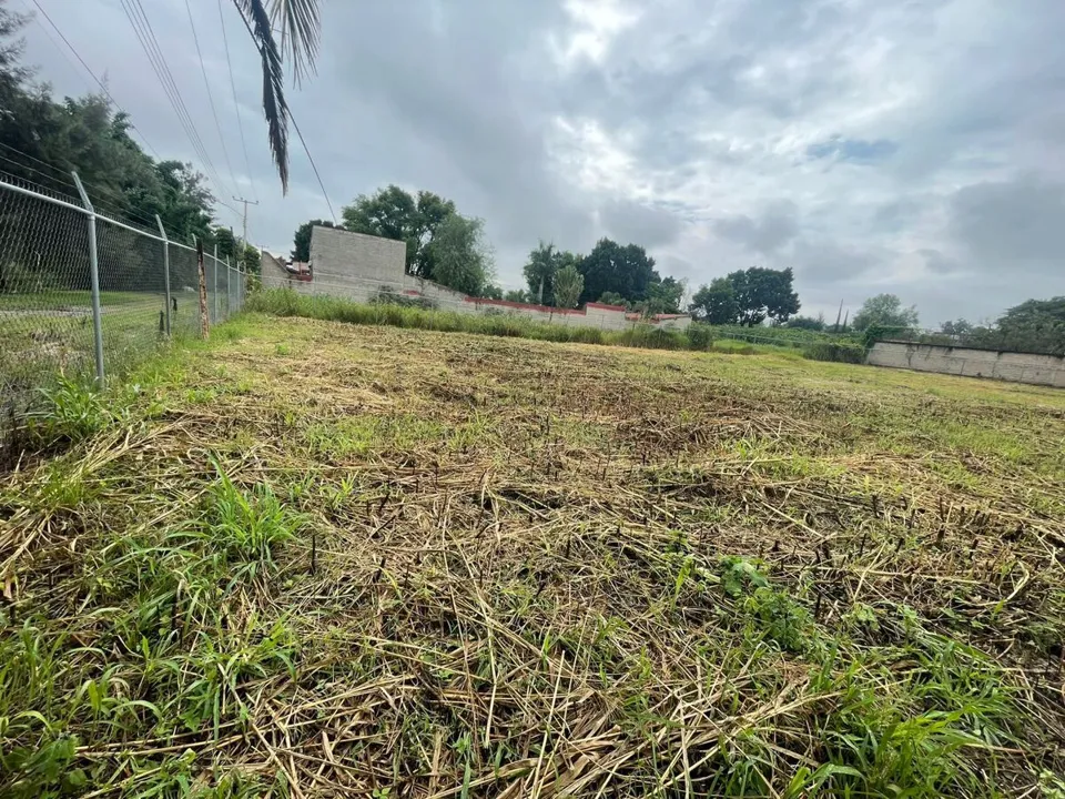 Foto 2 de Terreno en venta Fraccionamiento Los Sauces
