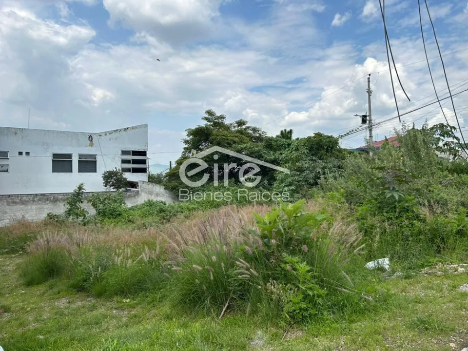 Foto 2 de Terreno en venta en Cortijo de San Agustín, San Agustin, Jalisco.