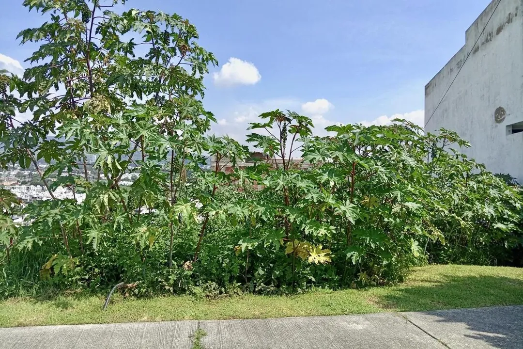 Foto 2 de Terreno en esquina, en Cortijo de San Agustín, 254 M2