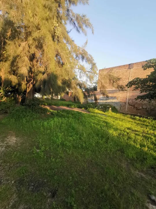 Foto 2 de Terreno en Venta en Toluquilla - Jesus Michel Gonzalez