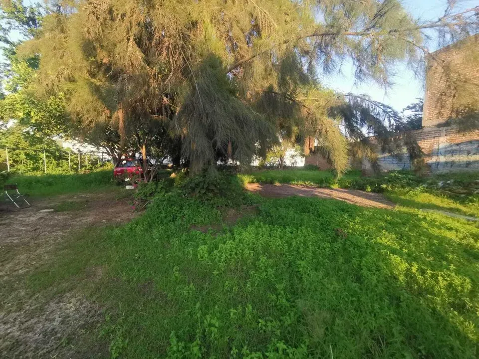 Foto 4 de Terreno en Venta en Toluquilla - Jesus Michel Gonzalez