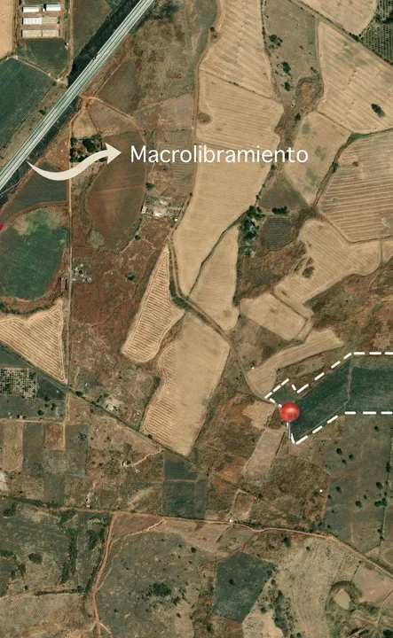 Foto 3 de 🌳 TERRENO EN VENTA A UNOS METROS DEL MACROLIBRAMIENTO EN PUENTE GRANDE TONALÁ