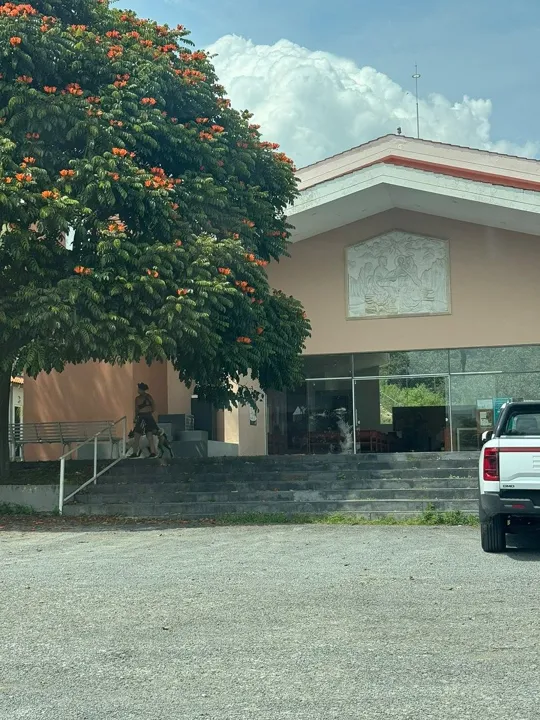 Foto 6 de TERRENO EN VENTA EN BOSQUES DE SANTA ANITA