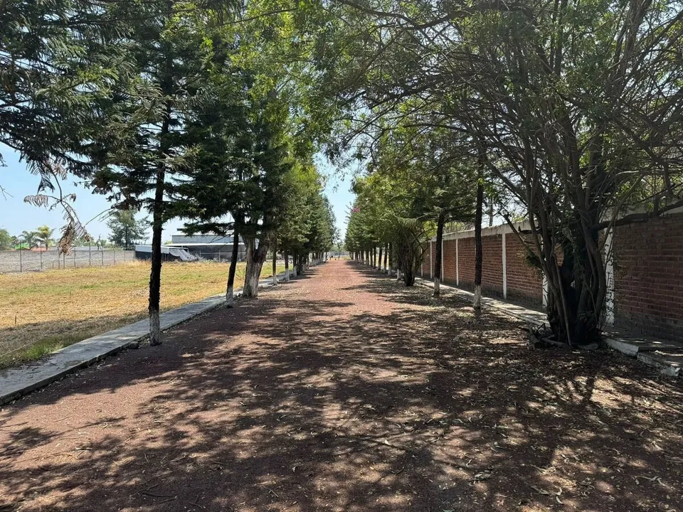 VENTA TERRENO EL CUATRO TLAJOMULCO