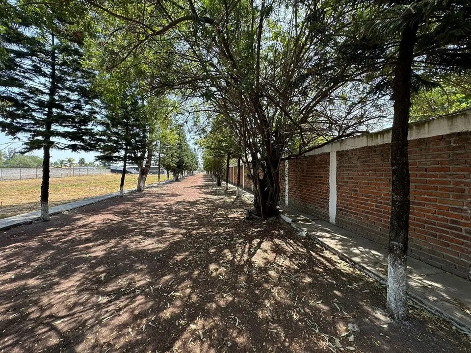 Foto 2 de VENTA TERRENO EL CUATRO TLAJOMULCO