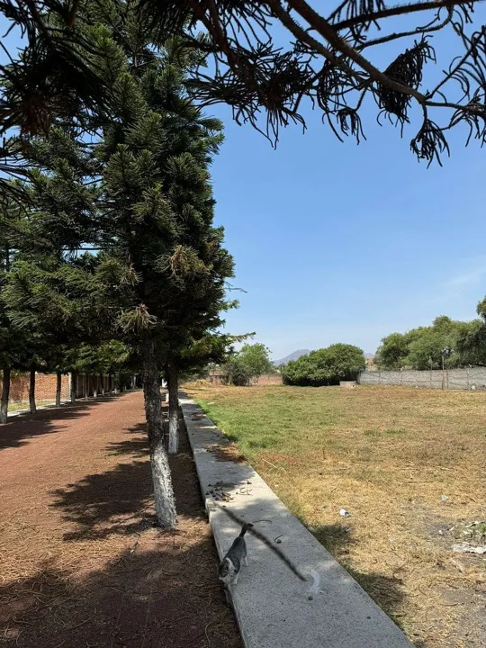 Foto 5 de VENTA TERRENO EL CUATRO TLAJOMULCO