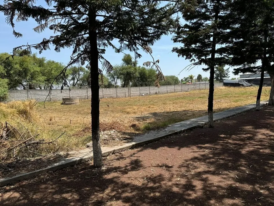 Foto 6 de VENTA TERRENO EL CUATRO TLAJOMULCO