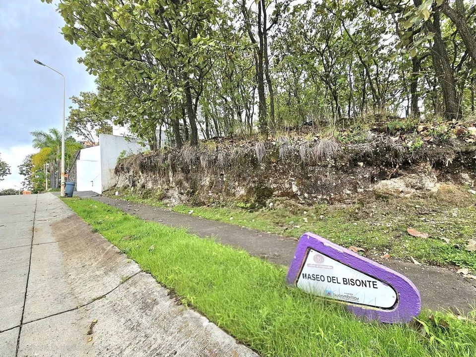 Foto 3 de Terreno en venta en Bugambilias