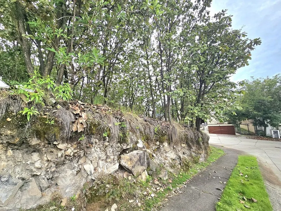 Foto 4 de Terreno en venta en Bugambilias