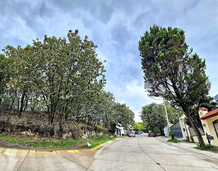Foto 5 de Terreno en venta en Bugambilias