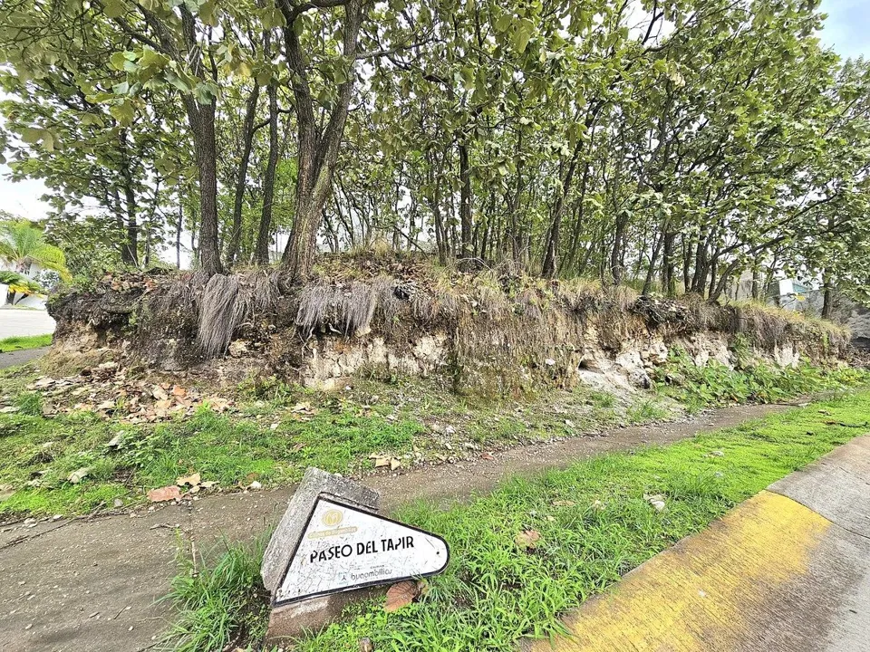 Foto 6 de Terreno en venta en Bugambilias