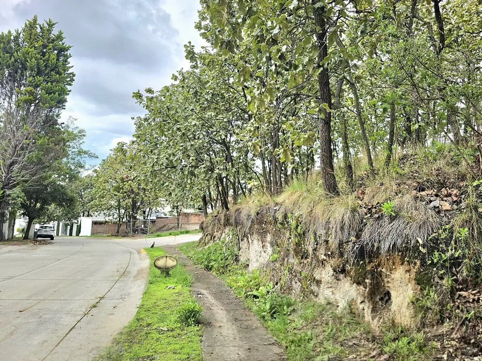 Foto 7 de Terreno en venta en Bugambilias