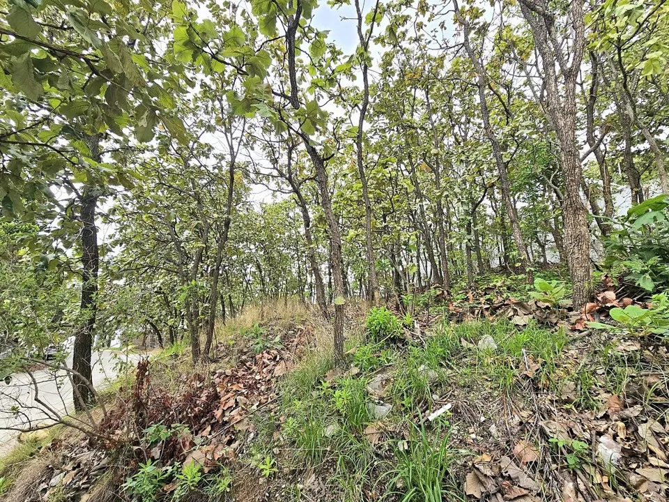 Foto 9 de Terreno en venta en Bugambilias