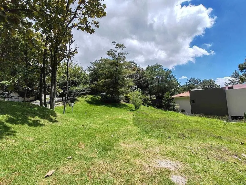 Foto 2 de SE VENDE LOTE EN EL CIELO, MUY BUENA OPORTUNIDAD