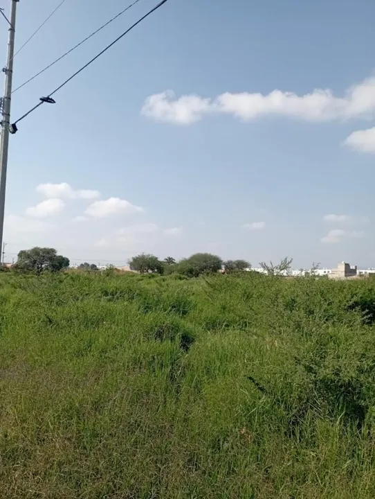Foto 7 de RESIDENCIAL TERRENO VENTA SANTA CRUZ DEL VALLE | RTV-1939