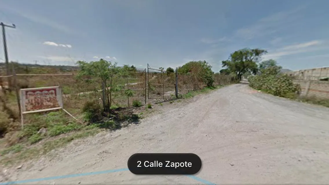 Foto 2 de Terreno en Venta en San Martín de las Flores