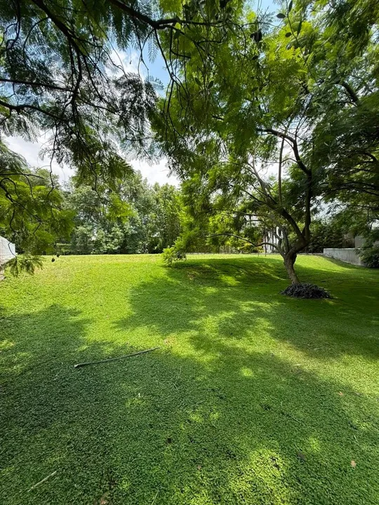 Foto 2 de Terreno en venta en Los Jales