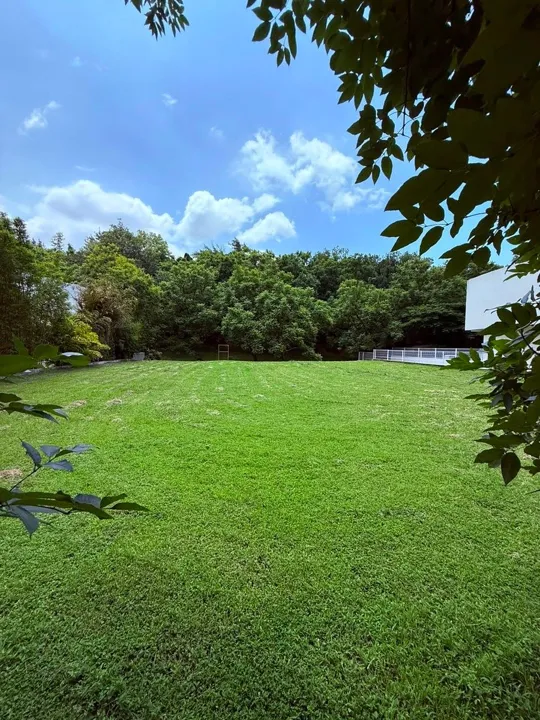 Foto 3 de Terreno en venta en Los Jales