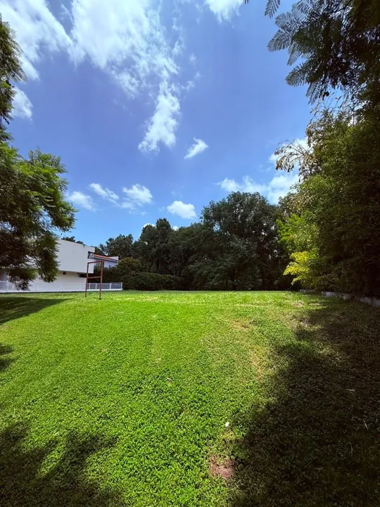 Foto 4 de Terreno en venta en Los Jales