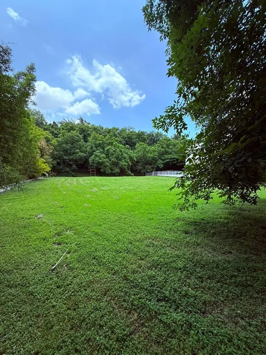 Foto 7 de Terreno en venta en Los Jales