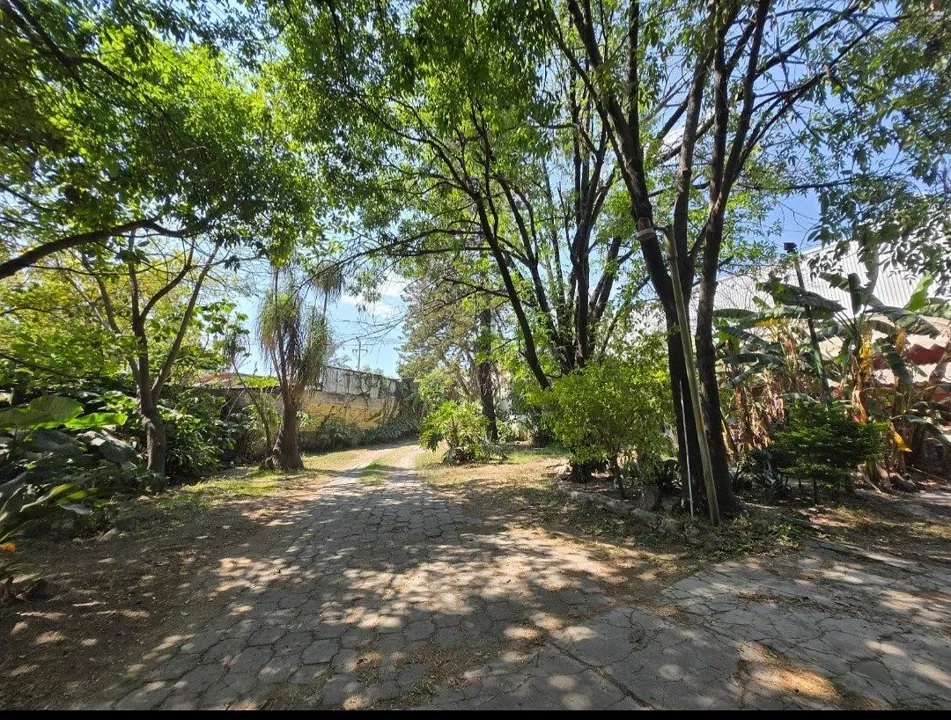 Foto 6 de Terreno en Venta en  López Mateos Sur, con uso de suelo Mixto
