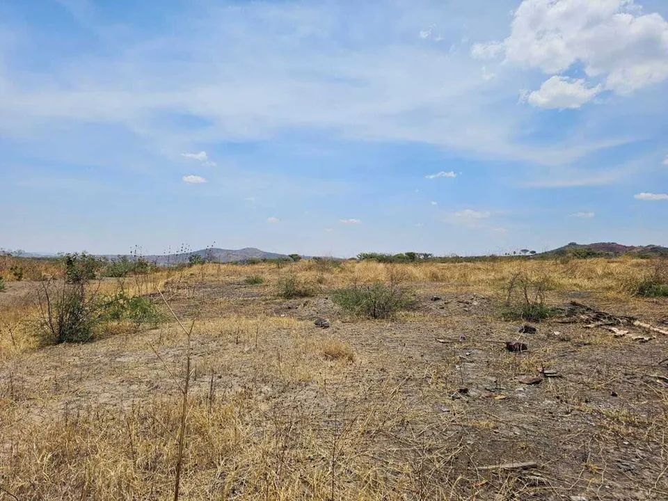 Foto 6 de Terreno en Venta en Nuevo Periferico