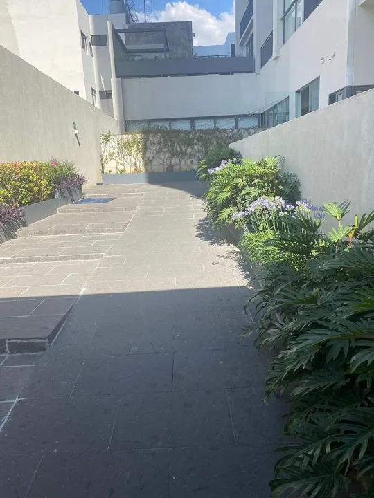 Foto 2 de Departamento en Renta en Americana - Vibranta 406