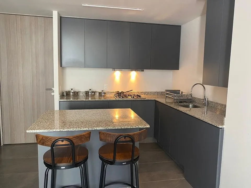 Foto 7 de Departamento en Renta en Americana - Vibranta 406