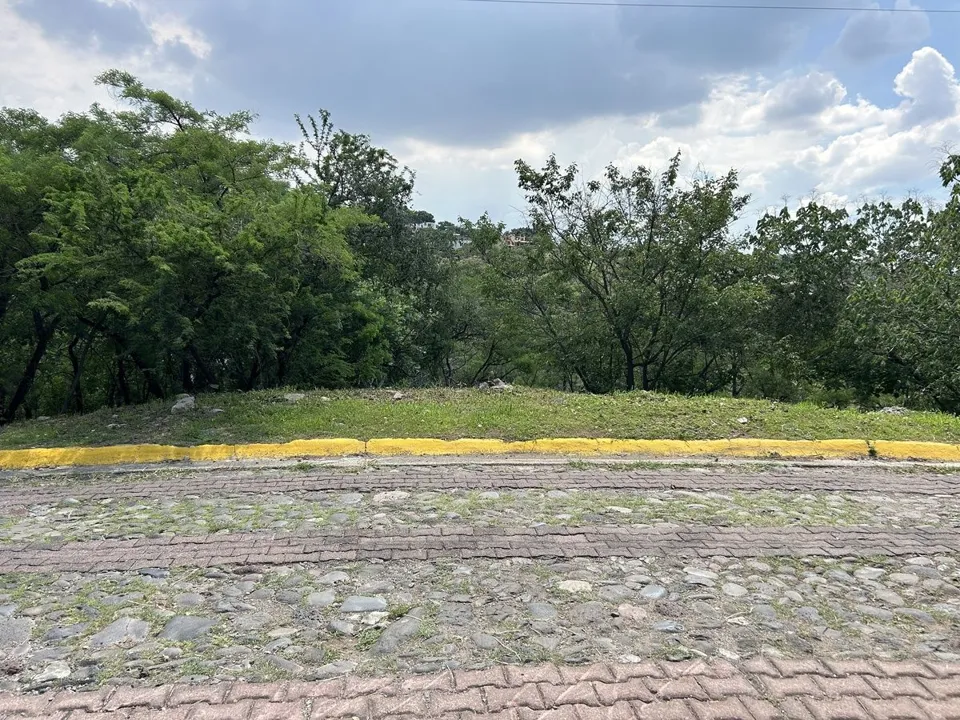 Foto 2 de Terreno en venta, las Cañadas, Bosques de Chapultepec, Zapopan