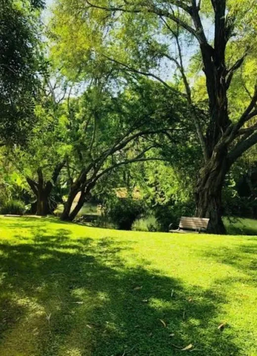 Terreno en Venta en los Jales