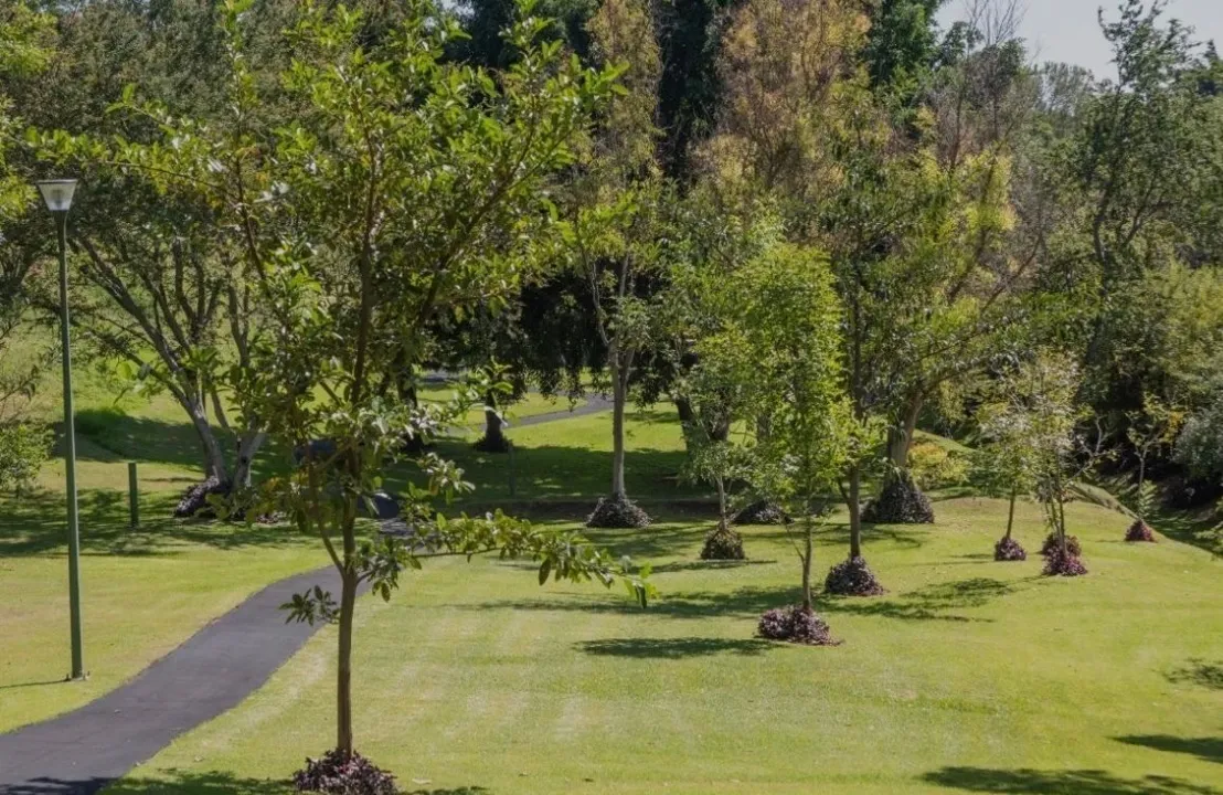 Foto 5 de Terreno en Venta en los Jales