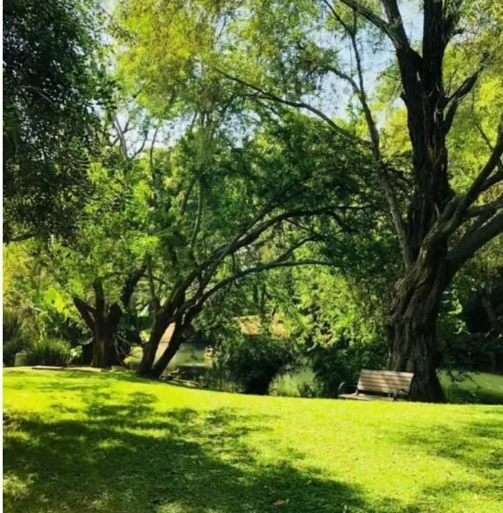 Foto 6 de Terreno en Venta en los Jales