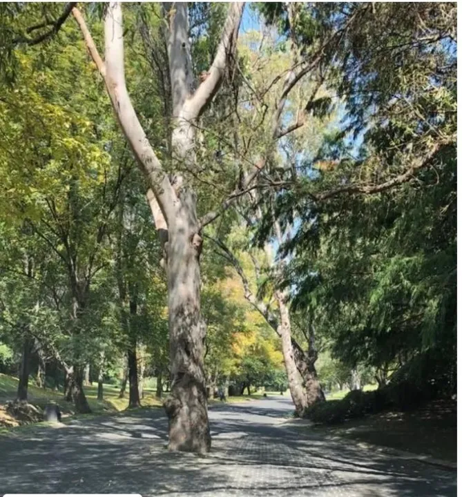 Foto 7 de Terreno en Venta en los Jales