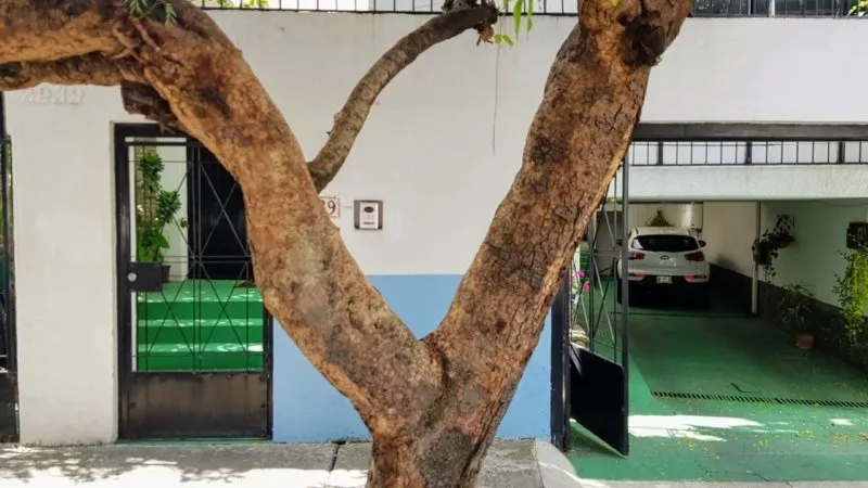 Foto 5 de Casa en venta en Calle El Sol, Jardines Del Bosque, Guadalajara