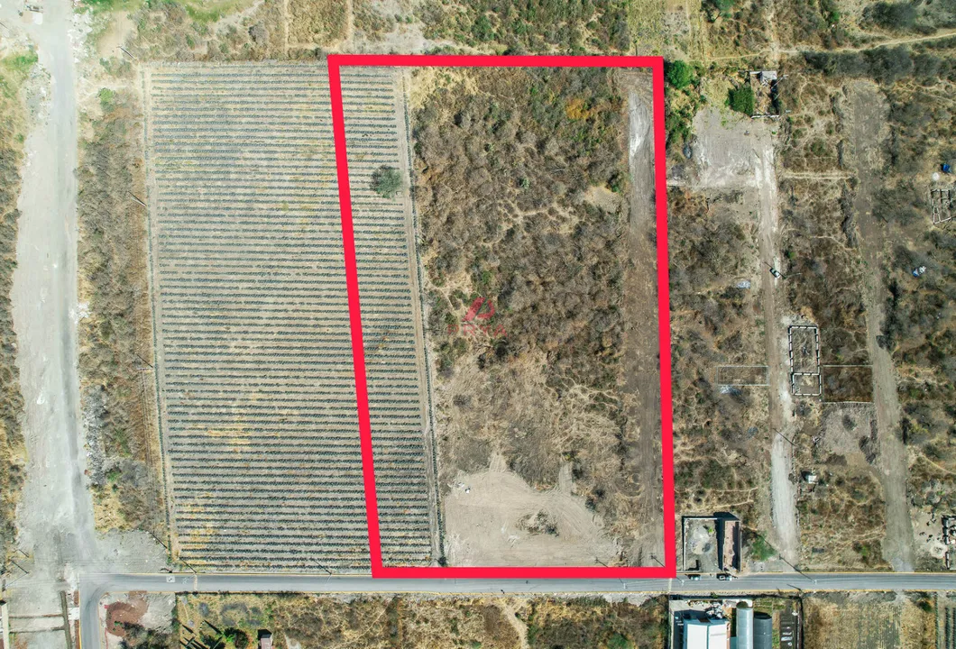 Foto 3 de TERRENO EN VENTA – MESA DE LA CRUZ, TLAJOMULCO, JALISCO