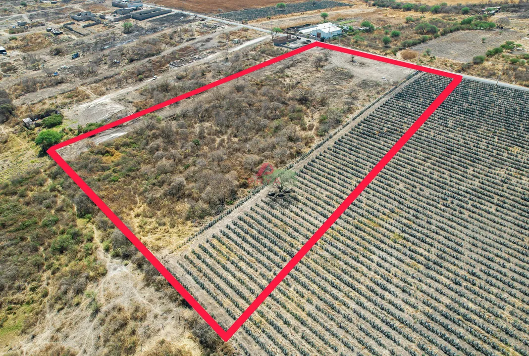 Foto 4 de TERRENO EN VENTA – MESA DE LA CRUZ, TLAJOMULCO, JALISCO