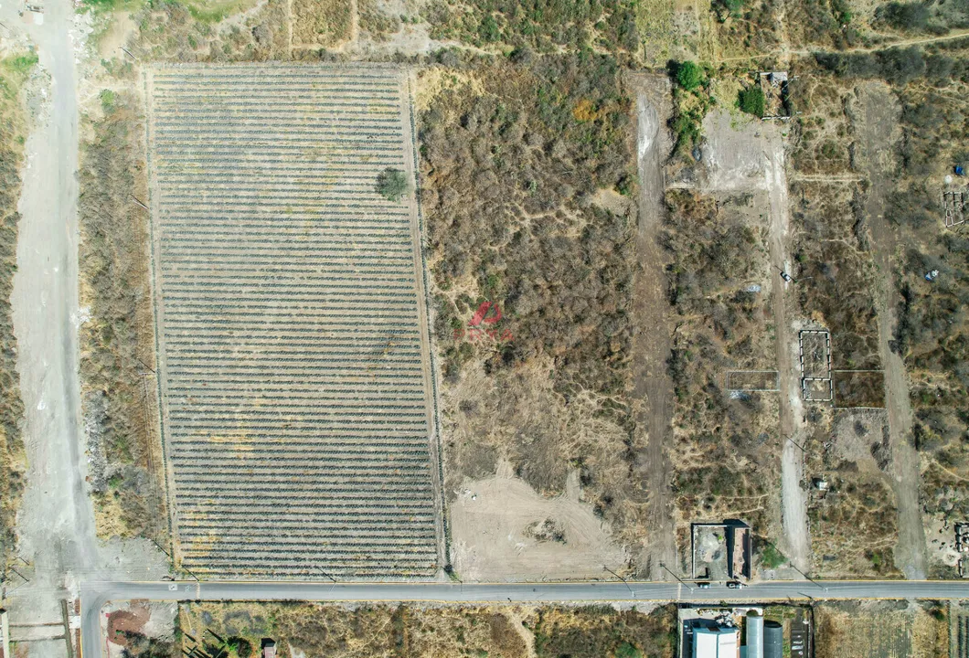 Foto 8 de TERRENO EN VENTA – MESA DE LA CRUZ, TLAJOMULCO, JALISCO