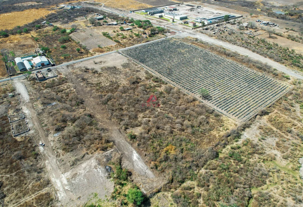 Foto 9 de TERRENO EN VENTA – MESA DE LA CRUZ, TLAJOMULCO, JALISCO