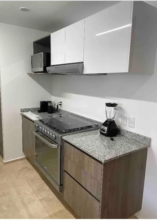 Foto 4 de Departamento Tipo Loft en Renta en Zentral