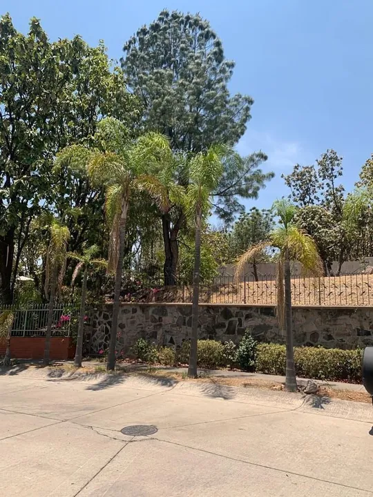 Foto 6 de Se vende terreno en   Bugambilias Segunda Sección, Zapopan,  Jalisco