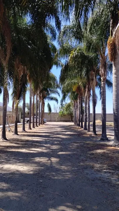 Terreno en venta, Kilometro 10 Carretera a San Isidro Mazatepec, Tlajomulco de Zuñiga, Jal.