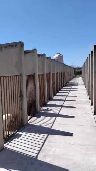 Foto 3 de Terreno en venta, Kilometro 10 Carretera a San Isidro Mazatepec, Tlajomulco de Zuñiga, Jal.